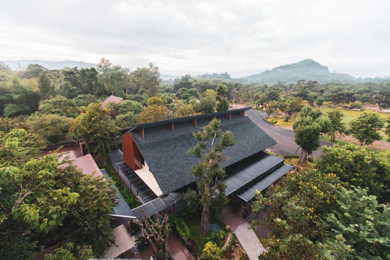 The Chamuang Forest
